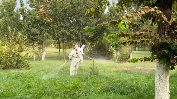 Абай саябағында масаларға қарсы дезинсекция жүргізілді vfcf
