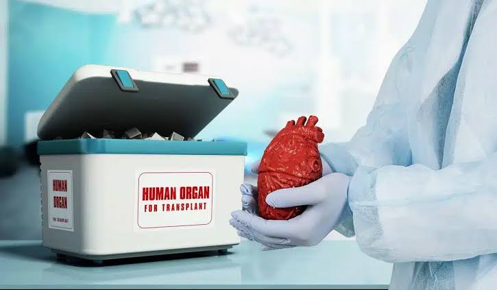 Қазақстанда ағза донорлығы қалай дамып келеді ағза донорлығы